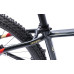 Bicicleta MTB Pegas DRUMET PRO M 29'' GRI CARBON